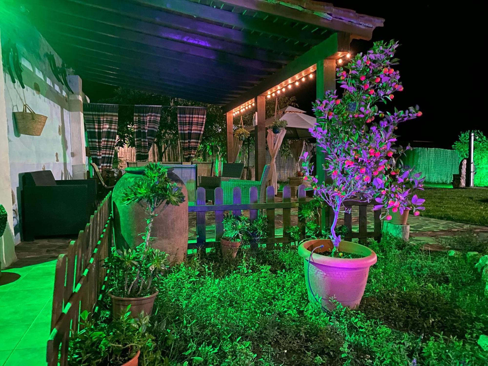 El Campo  Casa Rural El Miajonヴィラ エクステリア 写真
