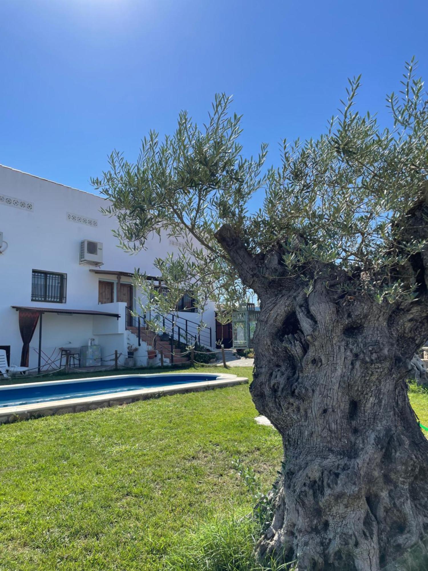 El Campo  Casa Rural El Miajonヴィラ エクステリア 写真