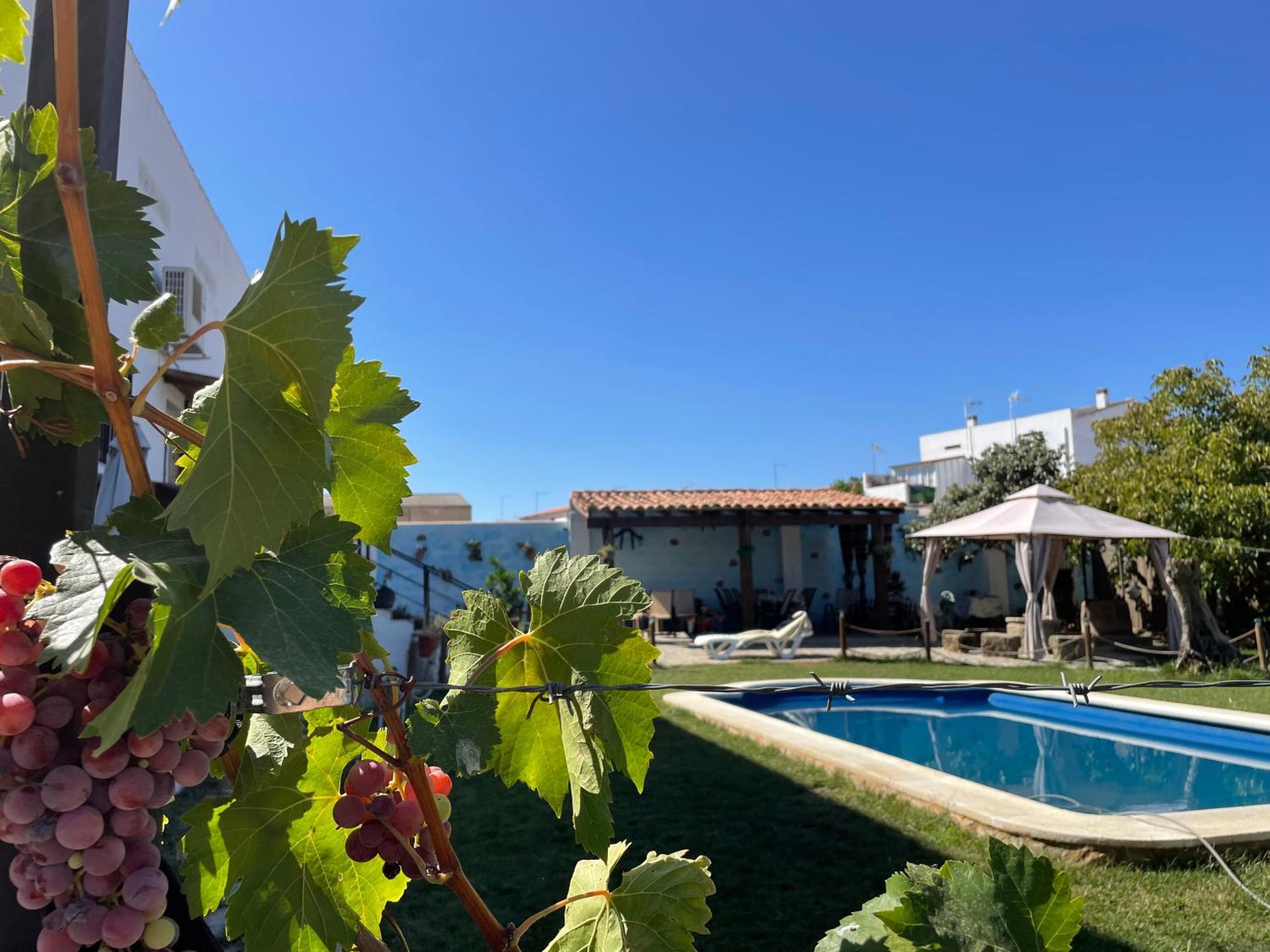 El Campo  Casa Rural El Miajonヴィラ エクステリア 写真