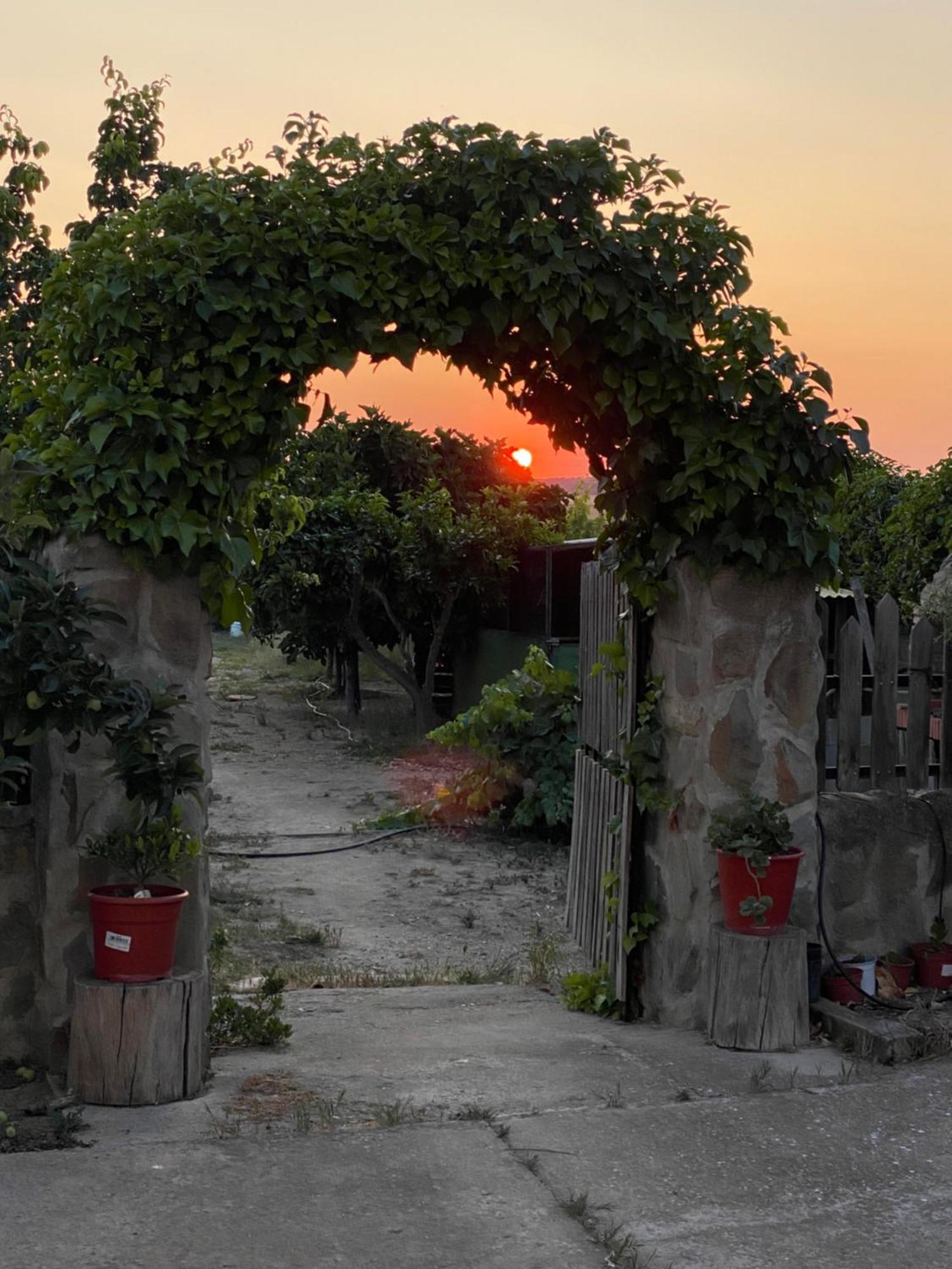 El Campo  Casa Rural El Miajonヴィラ エクステリア 写真